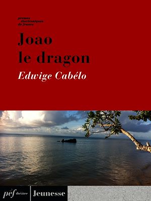 Téléchargez le livre :  Joao le dragon