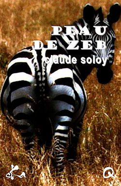 Télécharger le livre :  Peau de zeb