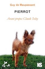 Télécharger le livre :  Pierrot