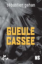 Télécharger le livre :  Gueule cassée