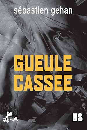 Téléchargez le livre :  Gueule cassée