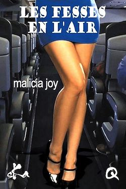 Télécharger le livre :  Les fesses en l'air