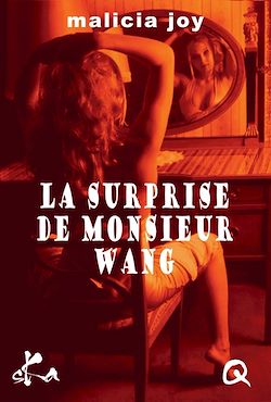 Télécharger le livre :  La surprise de Monsieur Wang