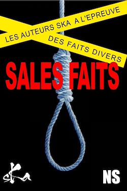 Télécharger le livre :  Sales faits