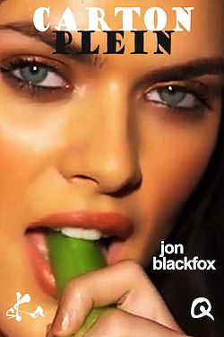 Télécharger le livre :  Carton plein