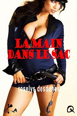 Télécharger le livre :  La main dans le sac