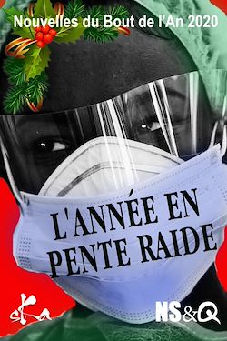 Télécharger le livre :  L'Année en pente raide