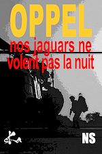 Télécharger le livre :  Nos Jaguars ne volent pas la nuit