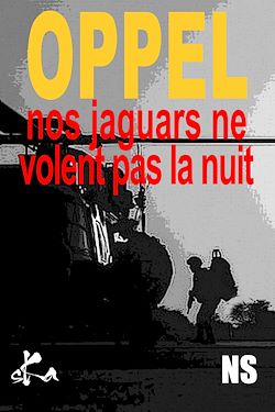 Télécharger le livre :  Nos Jaguars ne volent pas la nuit