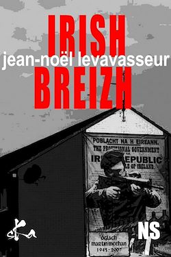 Télécharger le livre :  Irish Breizh