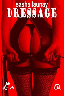 Télécharger le livre :  Dressage