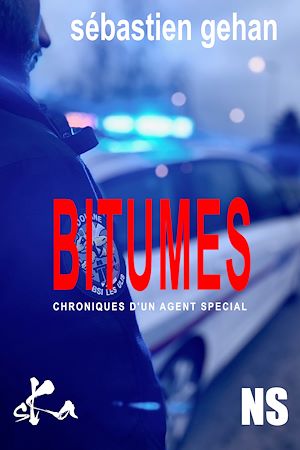 Téléchargez le livre :  Bitumes