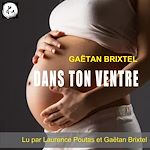 Télécharger le livre :  Itinéraire d'un flic - Saison 4 -