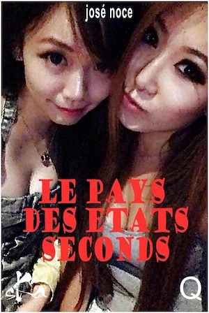 Téléchargez le livre :  Le pays des états seconds