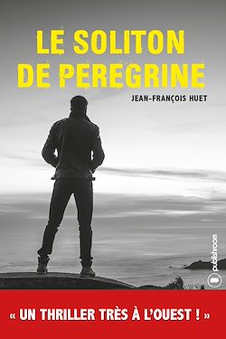 Télécharger le livre :  Le Soliton de Peregrine