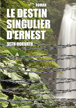 Télécharger le livre :  Le destin singulier d'Ernest