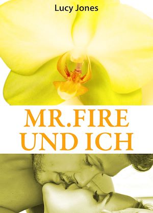 Téléchargez le livre :  Mr. Fire und ich, Band 2