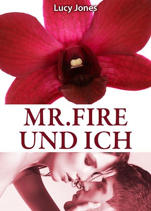 Téléchargez le livre :  Mr. Fire und ich, Band 5
