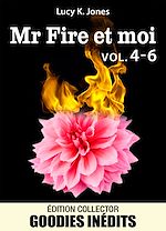 Download this eBook Mr Fire et moi - vol. 4-6