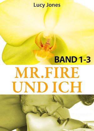 Téléchargez le livre :  Mr. Fire und ich - Band 1-3