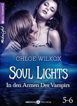 Télécharger le livre :  Soul Lights (Bd. 5-6)