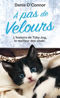 Télécharger le livre :  À pas de velours