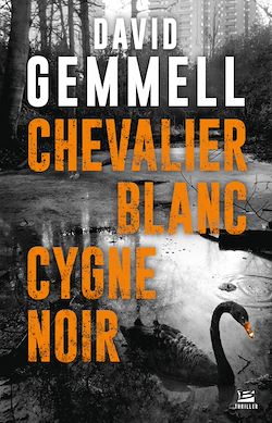 Télécharger le livre :  Chevalier blanc, cygne noir