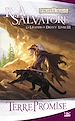 Télécharger le livre :  La Légende de Drizzt, T3 : Terre promise