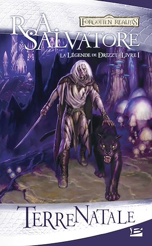 Download the eBook: La Légende de Drizzt, T1 : Terre natale