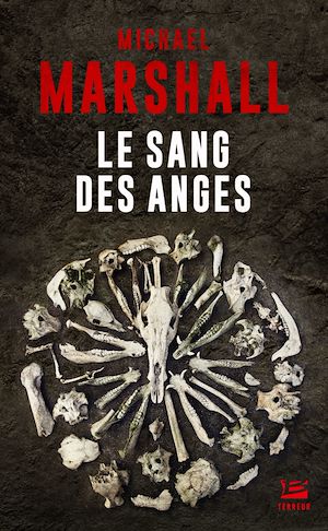 Téléchargez le livre :  Le Sang des anges