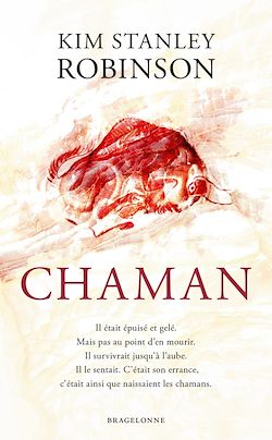 Télécharger le livre :  Chaman