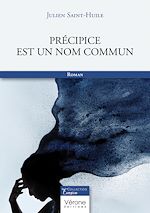 Télécharger le livre :  Précipice est un nom commun