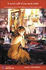 Télécharger le livre :  Il aurait suffi d'une seule balle