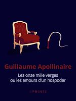 Télécharger le livre :  Les Onze mille verges ou les amours d'un hospodar