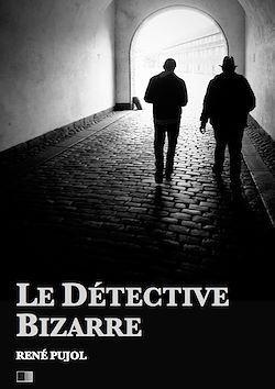 Télécharger le livre :  Le Détective Bizarre