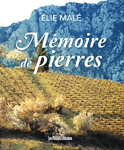 Télécharger le livre :  Mémoire de pierres