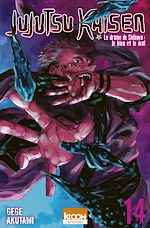 Télécharger le livre :  Jujutsu Kaisen T14