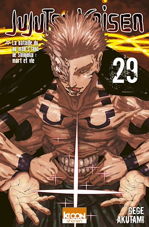 Téléchargez le livre :  Jujutsu Kaisen T29