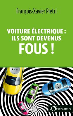 Télécharger le livre :  Voiture électrique : ils sont devenus fous !