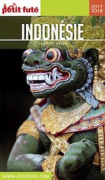 Download this eBook Indonésie 2017/2018 Petit Futé