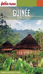 Download this eBook Guinée 2017 Petit Futé