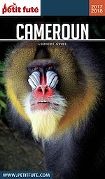 Download this eBook CAMEROUN 2018/2019 Petit Futé