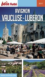 Download this eBook AVIGNON - VAUCLUSE 2018 Petit Futé