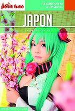 Download this eBook JAPON 2017 Carnet Petit Futé