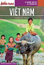 Download this eBook VIETNAM 2018 Carnet Petit Futé