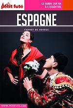 Download this eBook ESPAGNE 2018 Carnet Petit Futé