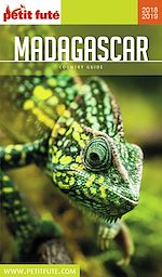 Download this eBook MADAGASCAR 2018/2019 Petit Futé