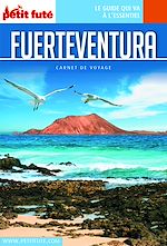 Download this eBook Fuerteventura 2018/2019 Carnet Petit Futé