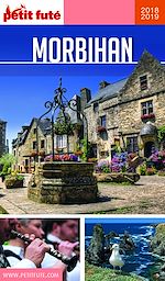 Download this eBook MORBIHAN 2018/2019 Petit Futé