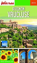 Download this eBook AVIGNON - VAUCLUSE 2019 Petit Futé